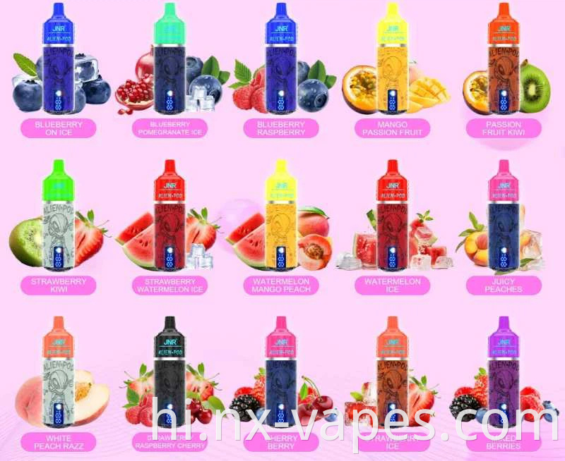 JNR एलियन पॉड 13000 (2) JNR Alien Pod 13000 (2)